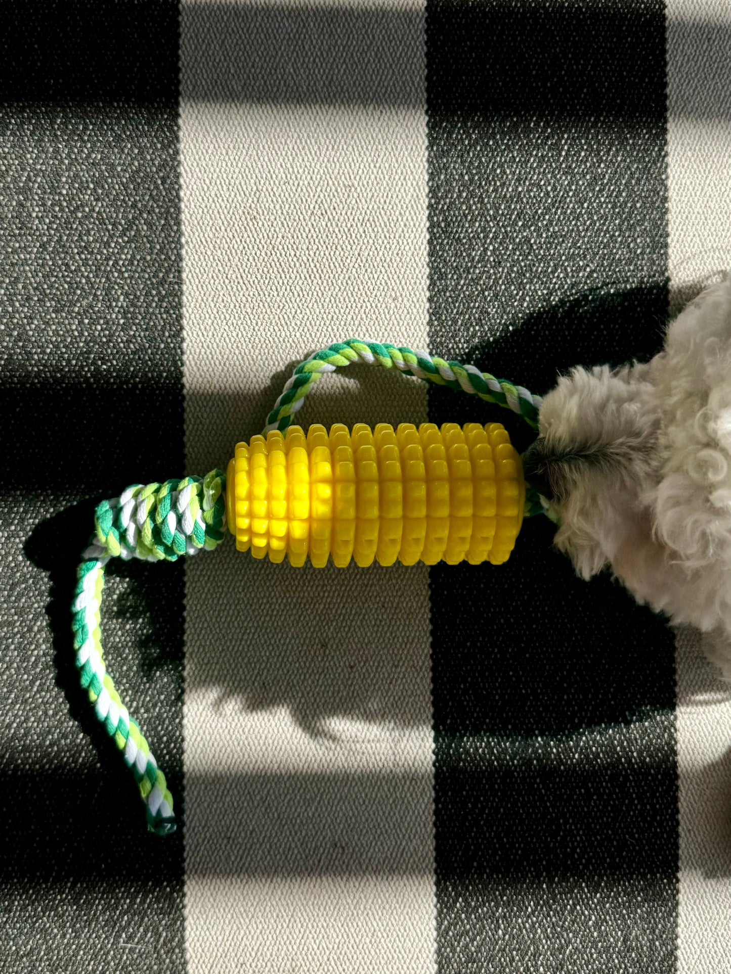 Dog Chew Corn Toy, Aggressive Chewers, Small Medium Large Breed